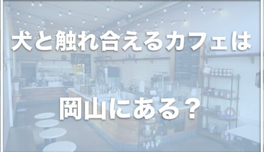 犬と触れ合えるカフェは岡山ではこの5つがおすすめ！倉敷の柴犬とふれあいを楽しめるカフェも！