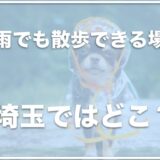 犬と雨でも散歩できる場所は埼玉ではこの5つがおすすめ！室内ドッグランがある場所はこちら