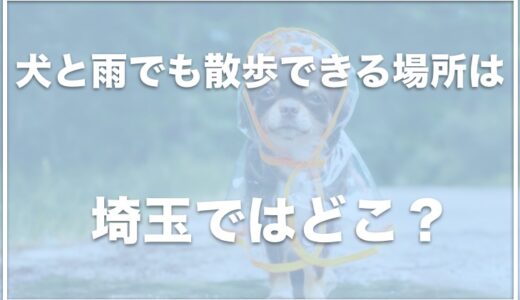 犬と雨でも散歩できる場所は埼玉ではこの5つがおすすめ！室内ドッグランがある場所はこちら