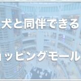 犬と同伴できるショッピングモールは神奈川・横浜ではココ！犬連れやペット同伴可のショッピングモールを調査