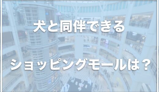 犬と同伴できるショッピングモールは神奈川・横浜ではココ！犬連れやペット同伴可のショッピングモールを調査