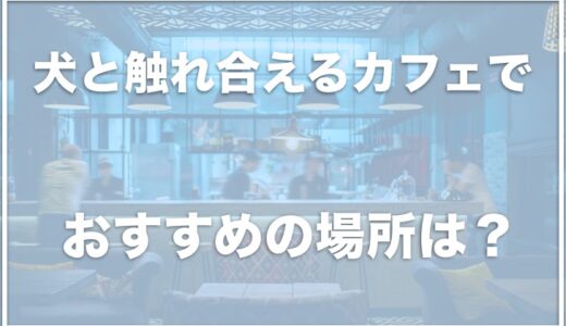 犬と触れ合えるカフェは東京ではココ！池袋にもある？