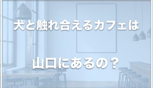 犬と触れ合えるカフェは山口ではこの4つがおすすめ！豆柴カフェが山口にあるかも調査！