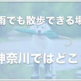 犬と雨でも散歩できる場所は神奈川ではココ！室内ドッグランの場所も！