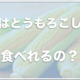 犬はとうもろこしを消化しない？芯も食べれる？食べたのに元気＆アレルギーは大丈夫かまでトウモロコシを徹底解説！