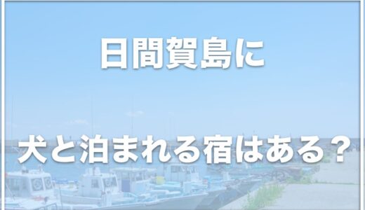 日間賀島で犬と泊まれる宿はココ！ペット可の宿と口コミを紹介！