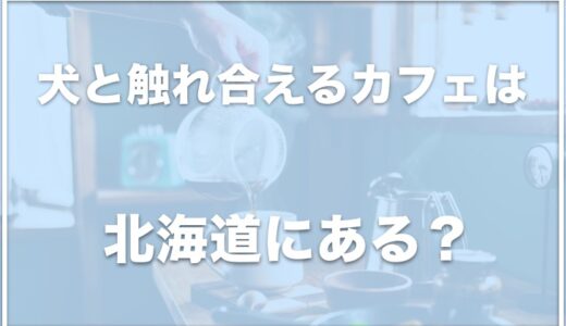 犬と触れ合えるカフェは北海道ではココ！犬がいるカフェは札幌にあるのか調査！