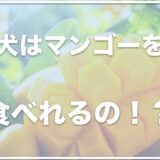 犬はマンゴーを食べれる？冷凍したものを食べていい？アレルギーがあるかも調査！