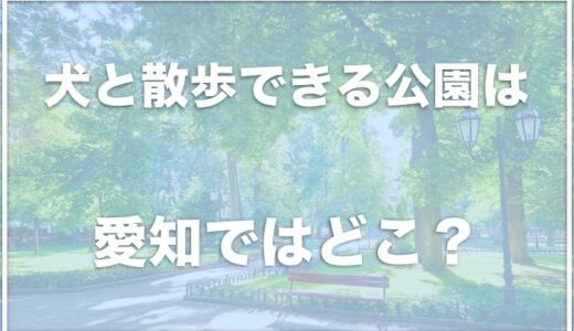 犬と散歩できる公園は愛知県ではココ！犬とお出かけしたい人はチェック