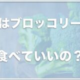 犬はブロッコリーを腎臓病の場合も食べれる・食べていい？茎は食べて大丈夫か調査！