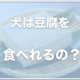 犬は豆腐を生で食べれる・食べていい？腎臓が悪い犬も食べていいか調査！