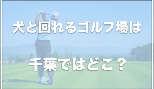 犬と回れるゴルフ場は千葉ではココ！ゴルフ練習場でペット可のところを調査！