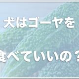 犬はゴーヤを食べれる・食べていい？癌予防に良いって本当か調査！