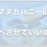 マヌカハニーは犬に危険！？はちみつは腎不全に良いか・低血糖にいいかも調査！