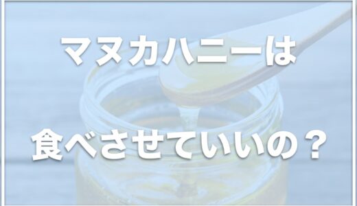 マヌカハニーは犬に危険！？はちみつは腎不全に良いか・低血糖にいいかも調査！