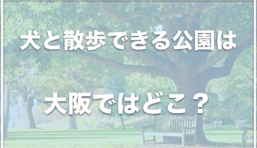 犬と散歩できる公園は大阪ではココ！犬とお出かけを楽しみたい人はチェック