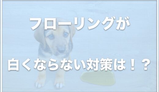 犬のオシっこでフローリングが白くなる！対策は何？尿で腐ることもあるか調査！