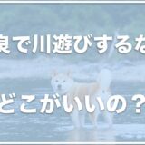 奈良で川遊びするならココ！穴場で犬と楽しみたいならこれをチェック