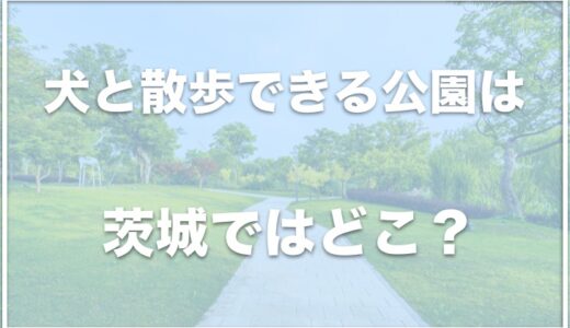 犬が喜ぶ公園は茨城県ではココ！犬と散歩できる公園・遊べる場所を探しているならコレをチェック