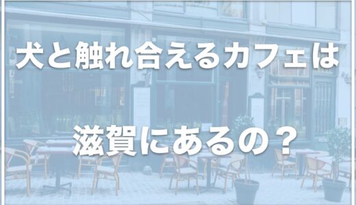 犬と触れ合えるカフェは滋賀ではココ!犬がいるカフェをチェック