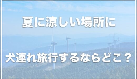 夏に涼しい場所に犬連れ旅行するなら関西ではココ!涼しい遊び場をチェック