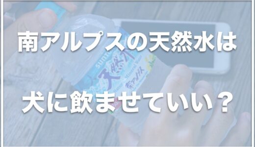 南アルプスの天然水は犬に飲ませていい？犬の飲める水をコンビニで買いたい場合はこれをチェック！