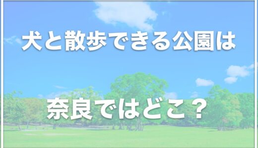 奈良公園は犬の散歩が禁止されている？犬と散歩できる公園は奈良ではココ！