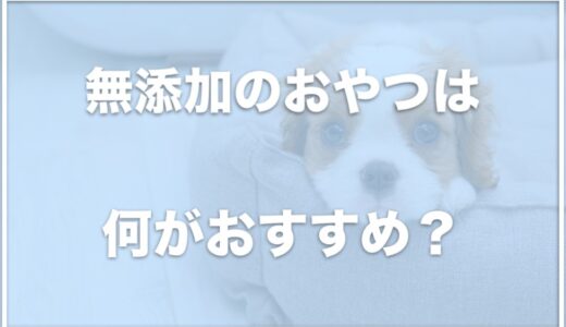 犬のおやつ無添加ランキングは？国産・プレゼントにおすすめなものを調査！