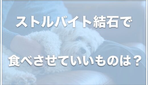 犬のストルバイト結石で食べさせていいものは？ヨーグルトやさつまいもを食べさせていいか調査！