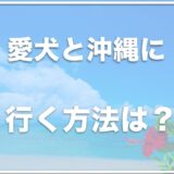 犬と沖縄に行く方法は？犬連れで船で行く方法も？沖縄旅行ペットツアーがあるかも調査！