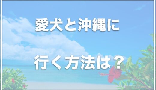 犬と沖縄に行く方法は？犬連れで船で行く方法も？沖縄旅行ペットツアーがあるかも調査！