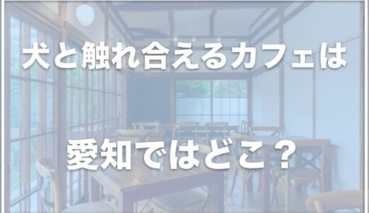 犬と触れ合えるカフェは愛知・名古屋ではココ！保護犬カフェも調査！