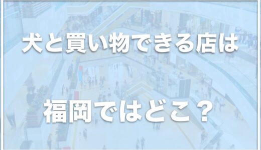 犬と買い物できる店は福岡ではココ！ららぽーと福岡が犬と同伴できるか調査！