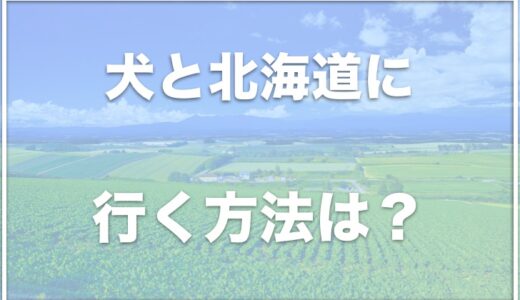 犬と北海道に行く方法は？さんふらわあフェリーでペットと北海道に行く場合の料金も調査！