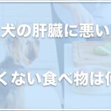 犬の肝臓に悪い・良くない食べ物は？肝臓に良い食べ物も調査！