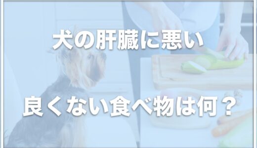 犬の肝臓に悪い・良くない食べ物は？肝臓に良い食べ物も調査！