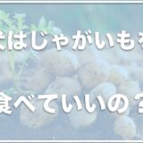 犬はじゃがいもを食べれる？生はNG？腎臓が悪い子は大丈夫なのかも調査！