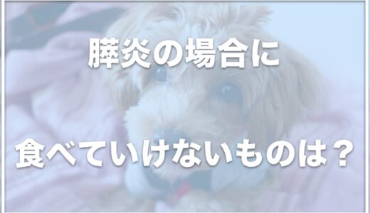 犬が膵炎の場合食べてはいけないものは？さつまいもやささみを食べさせていいか調査！