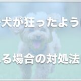 子犬が狂ったように噛む・暴れる場合の対処法は？いつまで暴れるものなのか病気なのかも調査！