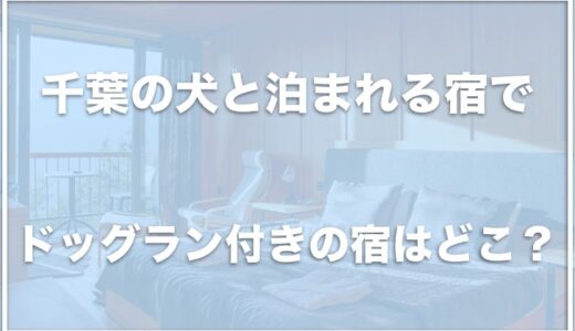 プライベートドッグラン付きコテージは千葉ではココ！犬と泊まれる宿でドッグラン付きの宿のおすすめはこの7つ！