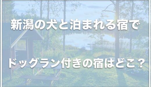 新潟の犬と泊まれる宿でドッグラン付きの宿はどこ？おすすめの宿を紹介！