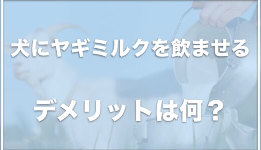 犬にヤギミルクはデメリットが多い？効果や結石に良いか調査！