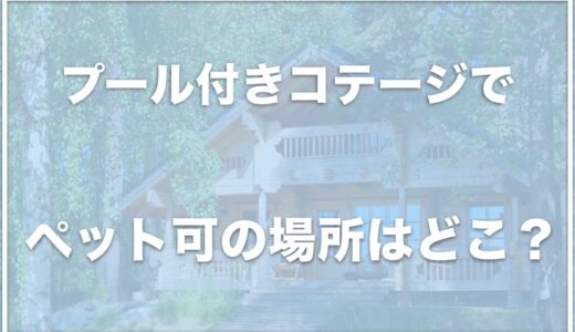 プール付きコテージでペット可の場所は関東ではココ！温水プールのあるコテージも調査！