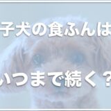 子犬の食ふんはいつまで続く？ヨーグルトがいいって本当？やめさせる方法を調査！