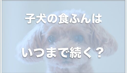 子犬の食ふんはいつまで続く？ヨーグルトがいいって本当？やめさせる方法を調査！