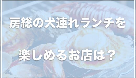 房総の犬連れランチを楽しめるお店はココ！海鮮の美味しいペット可のお店はこちら