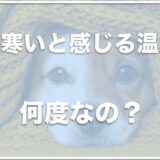 犬が寒いと感じる温度は？トイプードルやチワワの場合や寒い時のサインを調査！