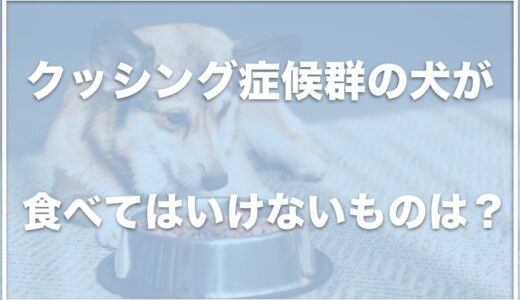 犬がクッシング症候群の場合食べてはいけないものは？末期症状や余命も調査！