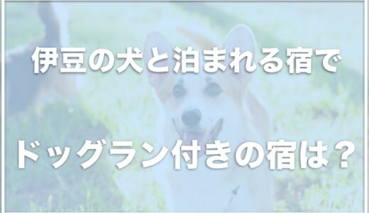 伊豆の犬と泊まれる宿でドッグラン付きの宿はどこ？おすすめの宿はこの9つ！