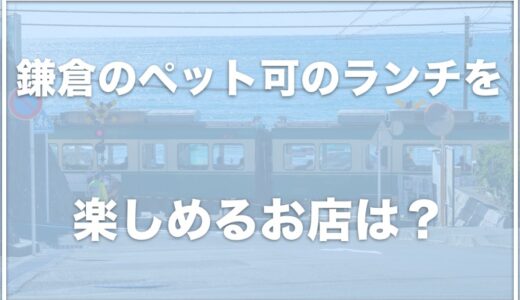 鎌倉のペット可のランチを楽しめるお店でおすすめはココ！犬連れご飯を楽しみたいならコレをチェック